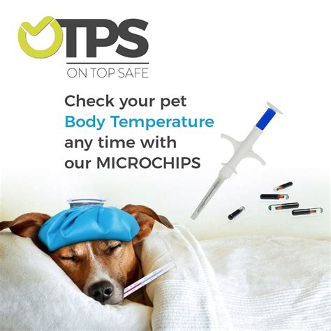 rfid chips for animals|what is a pet microchip.